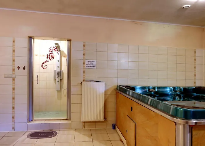 Ehila 3* Karlovy Vary