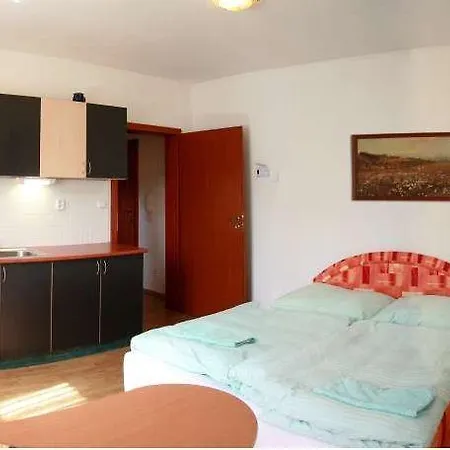 Guest house Ehila Karlovy Vary